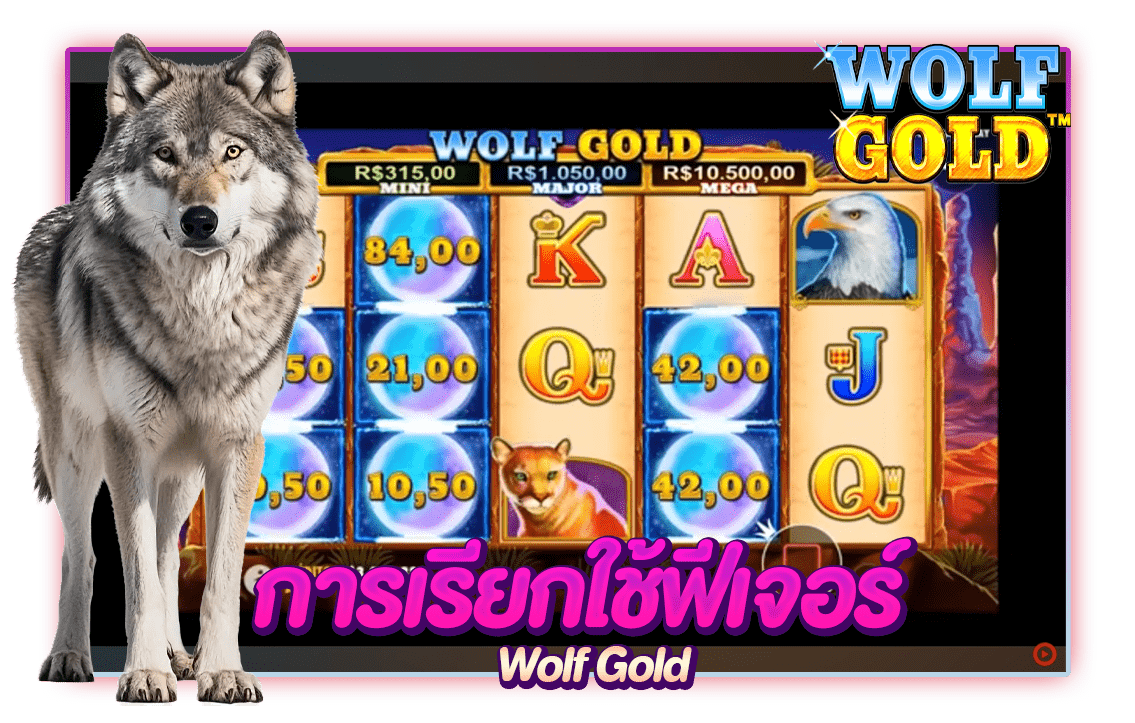 เรียกใช้ฟีเจอร์ในเกม Wolf Gold 
